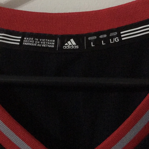 Toronto Raptors - Kyle Lowry Jersey - Picture 2 of 3